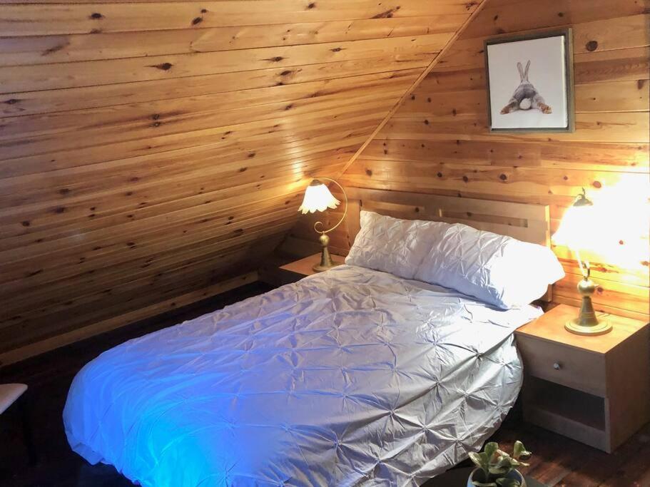 Chalet Riviere - Bord De Riviere - Romantique 상트-알렉시-데-몽 외부 사진